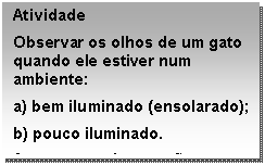 Caixa de texto: Atividade  Observar os olhos de um gato quando ele estiver num ambiente:  a) bem iluminado (ensolarado);  b) pouco iluminado.  Anote suas observações.